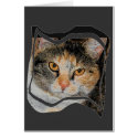 Miss Kitty Card