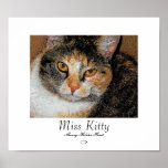 Miss Kitty posters
