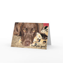 Miss you! greeting cards