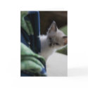 Miss You Peek-a-Boo Kitten Card