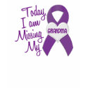 Missing My Grandma 1 (Purple Ribbon) t-shirts