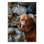 Missing You Army Dog Card