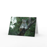 Missing You Greeting Cards