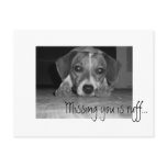 missing you is ruff!, Missing you is ruff... postcards