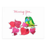 Missing You, Love Birds Postcard