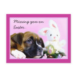 Missing you on Easter boxer postcard