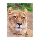 Missing You_ Postcard