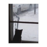 Missing you Postcard