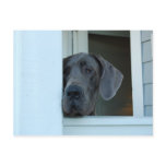 Missing You Postcard