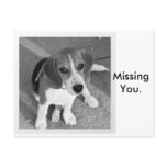 Missing you postcards