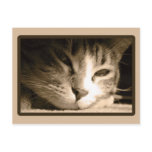 Missing You postcards