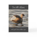 Missing you, sorry greeting cards