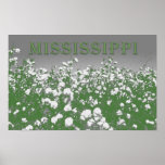Mississippi Cotton posters