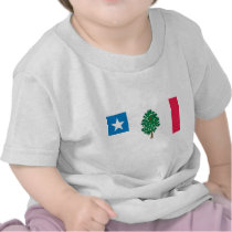 Mississippi Flag T-Shirts (1861)