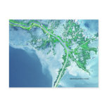 Mississippi River Delta Satellite Postcard