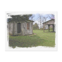 Mississippi Shack Postcard