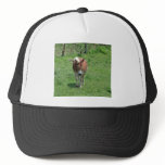 MIssouri Mule hats