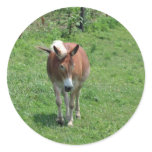 MIssouri Mule stickers