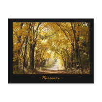 Missouri Postcard
