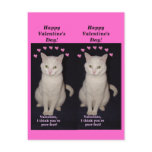 Missy Bookmark Valentines postcards