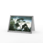 Mist Enshrouds Amazon Rainforest Cards