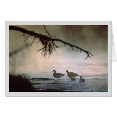 Mist Rises Over the Madison River Card by bm1959h