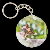 Mister, can we have our ball back please keychains