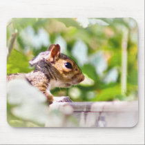Mister, can we have our ball back please mousepads