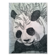 Mister Panda Photograph