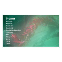 Misty and Mistique Business Card