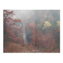 Misty Autumn Woods Postcards