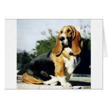 Misty Greeting Cards