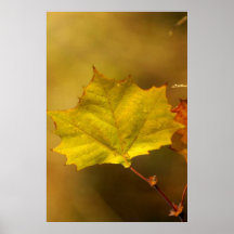 Misty Leaf Print