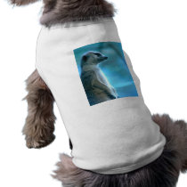 Misty Meerkat Dog T-shirt