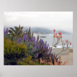 Misty Morn in Laguna Posters