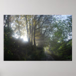 Misty morning in Downswood Posters