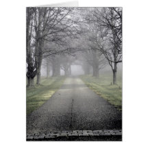 Misty Morning in Maine Cards