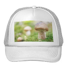 Misty Morning Mushrooms Hats
