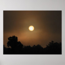 Misty Morning Posters