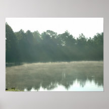 Misty Morning Posters