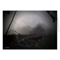 Misty Morning Sunrise Greeting Card