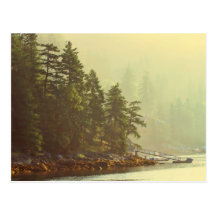 Misty Ocean Landscape at Dawn Postcards