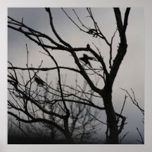 misty silence print