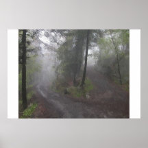 Misty Woods Posters