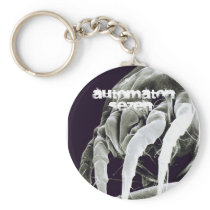 [mite] keychains