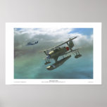 Mitsubishi F1M2 posters