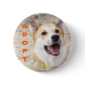 Mixed Breed Button