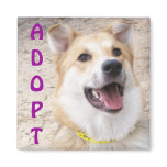 Mixed Breed Magnet