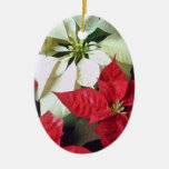 Mixed Colour Poinsettias 2 Christmas Tree Ornament