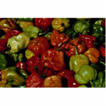Mixed coloured mini peppers photo cutouts